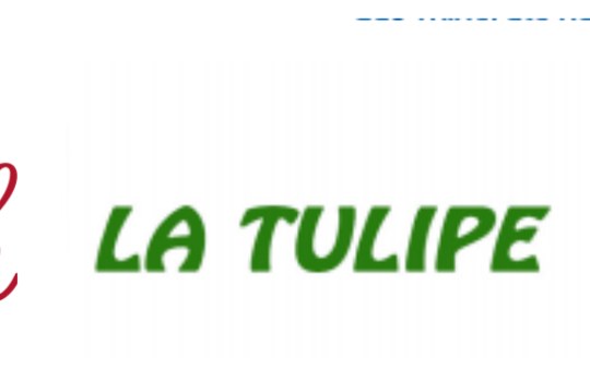 La Tulipe